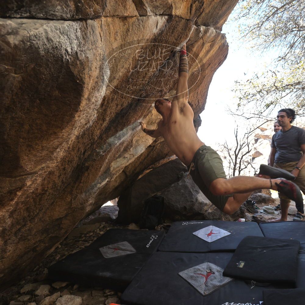 

Filename: SRM_20220409_1347552.jpg
Aperture: f/5.6
Shutter Speed: 1/320
Body: Canon EOS R6
Lens: Canon EF 16-35mm f/2.8 L