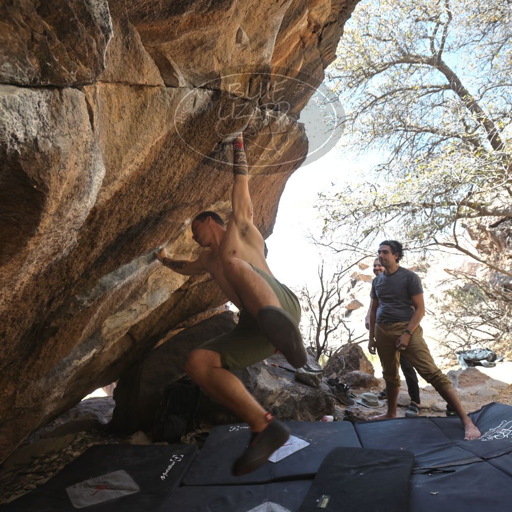 

Filename: SRM_20220409_1347565.jpg
Aperture: f/5.6
Shutter Speed: 1/320
Body: Canon EOS R6
Lens: Canon EF 16-35mm f/2.8 L