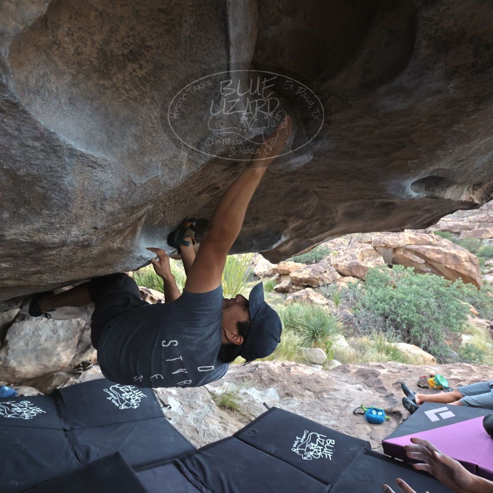 

Filename: SRM_20221022_1520060.jpg
Aperture: f/5.6
Shutter Speed: 1/500
Body: Canon EOS R6
Lens: Canon EF 16-35mm f/2.8 L