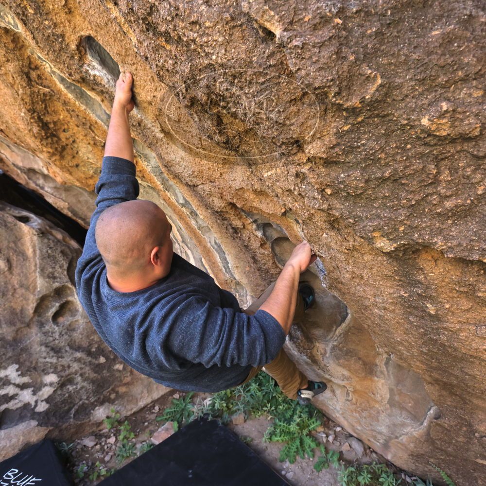 

Filename: SRM_20221025_1137100.jpg
Aperture: f/5.6
Shutter Speed: 1/500
Body: Canon EOS R6
Lens: Canon EF 16-35mm f/2.8 L