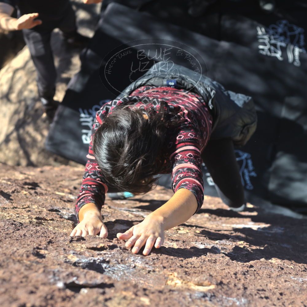 Filename: SRM_20221113_1345290.jpg
Aperture: f/4.0
Shutter Speed: 1/4000
Body: Canon EOS R6
Lens: Canon EF 50mm f/1.8 II