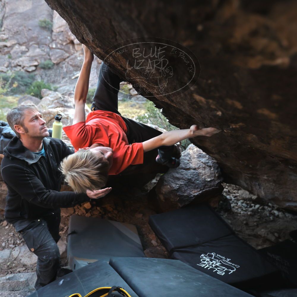 

Filename: SRM_20221113_1637170.jpg
Aperture: f/3.2
Shutter Speed: 1/320
Body: Canon EOS R6
Lens: Canon EF 16-35mm f/2.8 L