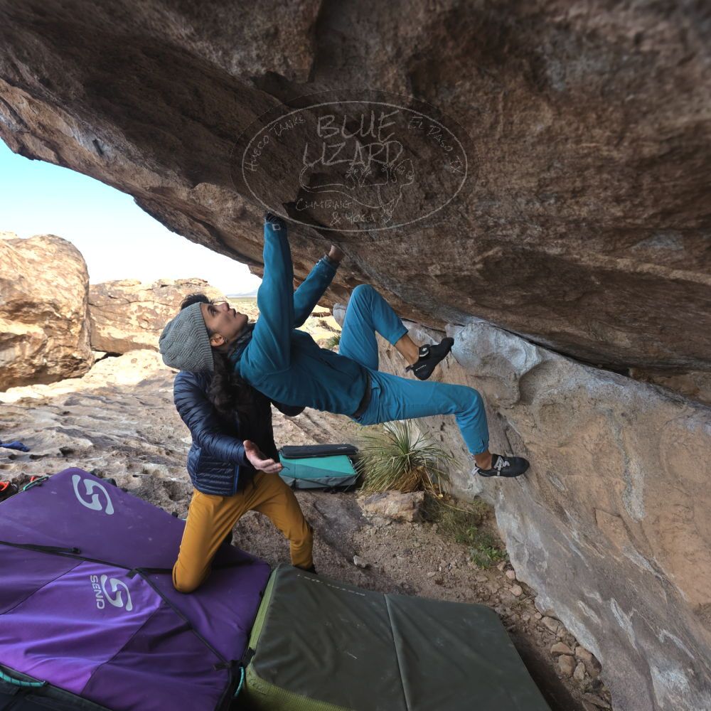 

Filename: SRM_20221124_1024360.jpg
Aperture: f/5.6
Shutter Speed: 1/500
Body: Canon EOS R6
Lens: Canon EF 16-35mm f/2.8 L