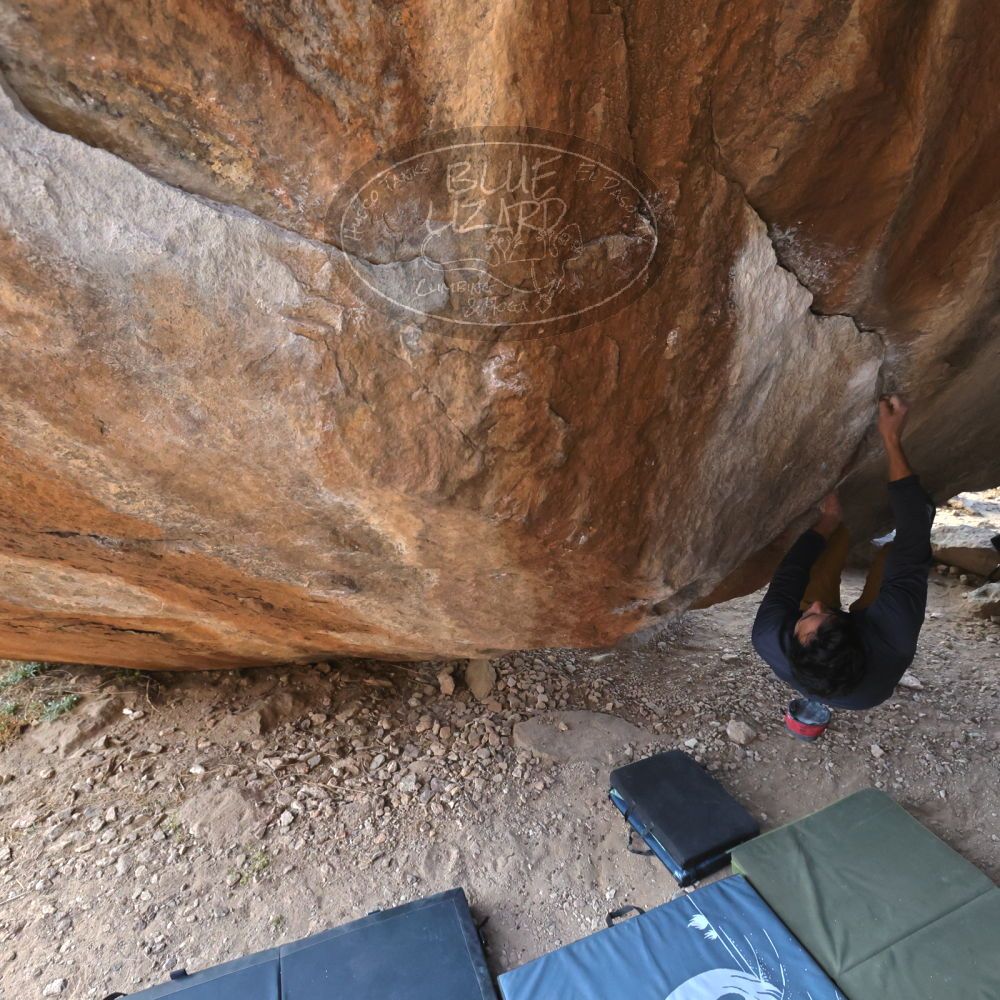 

Filename: SRM_20221124_1505100.jpg
Aperture: f/5.6
Shutter Speed: 1/500
Body: Canon EOS R6
Lens: Canon EF 16-35mm f/2.8 L