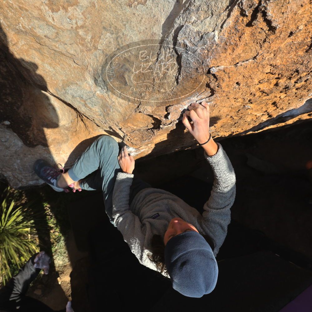 

Filename: SRM_20221124_1530360.jpg
Aperture: f/5.6
Shutter Speed: 1/500
Body: Canon EOS R6
Lens: Canon EF 16-35mm f/2.8 L