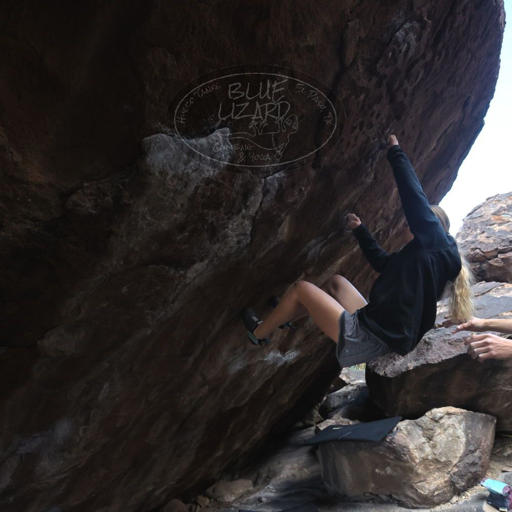 

Filename: SRM_20221203_1043390.jpg
Aperture: f/5.6
Shutter Speed: 1/800
Body: Canon EOS R6
Lens: Canon EF 16-35mm f/2.8 L