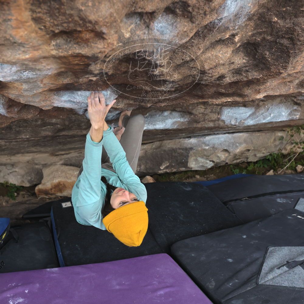 

Filename: SRM_20221204_1518010.jpg
Aperture: f/5.6
Shutter Speed: 1/400
Body: Canon EOS R6
Lens: Canon EF 16-35mm f/2.8 L