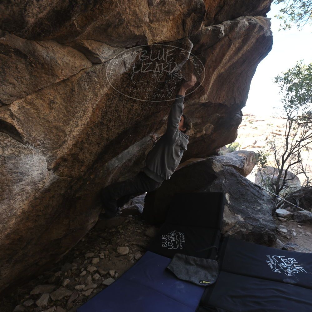 

Filename: SRM_20221216_1333260.jpg
Aperture: f/5.6
Shutter Speed: 1/400
Body: Canon EOS R6
Lens: Canon EF 16-35mm f/2.8 L