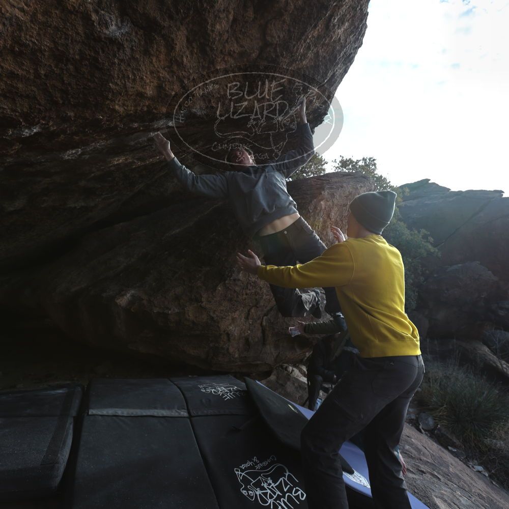 

Filename: SRM_20221216_1510264.jpg
Aperture: f/5.6
Shutter Speed: 1/400
Body: Canon EOS R6
Lens: Canon EF 16-35mm f/2.8 L
