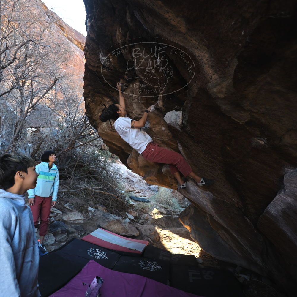 

Filename: SRM_20221220_1016550.jpg
Aperture: f/3.5
Shutter Speed: 1/320
Body: Canon EOS R6
Lens: Canon EF 16-35mm f/2.8 L