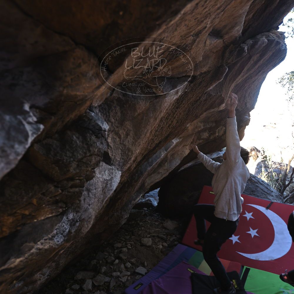 

Filename: SRM_20221220_1025043.jpg
Aperture: f/3.5
Shutter Speed: 1/320
Body: Canon EOS R6
Lens: Canon EF 16-35mm f/2.8 L