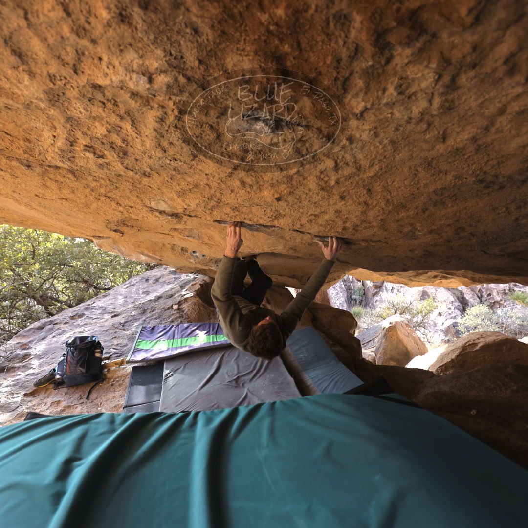 

Filename: SRM_20221227_1509530.jpg
Aperture: f/3.2
Shutter Speed: 1/320
Body: Canon EOS R6
Lens: Canon EF 16-35mm f/2.8 L