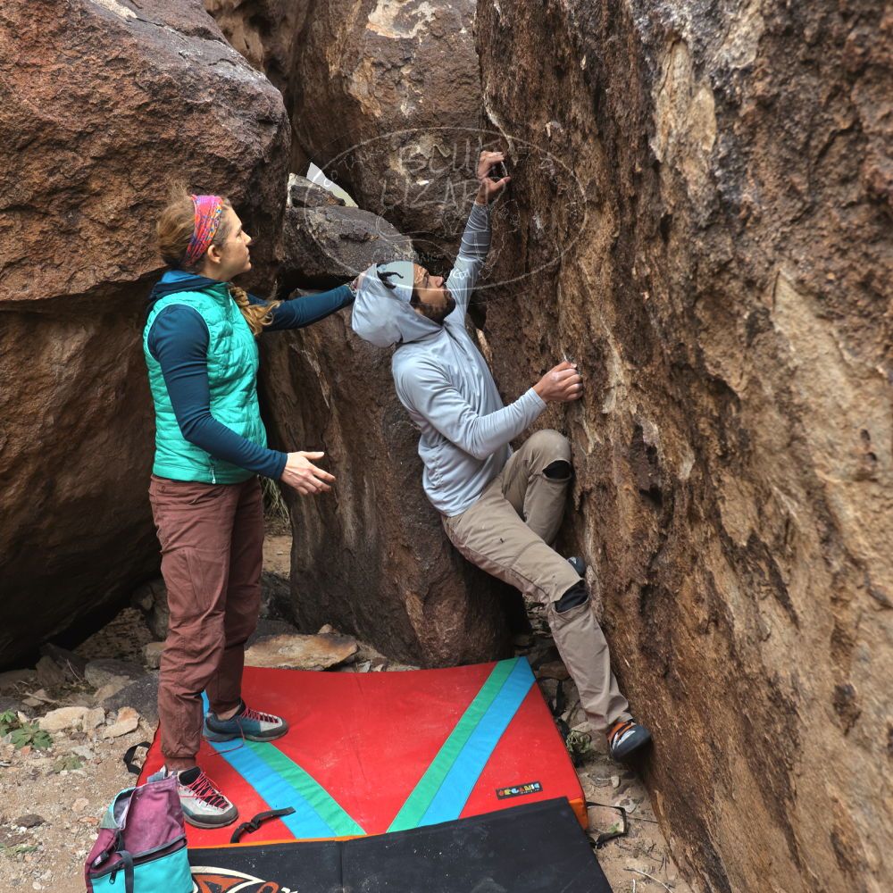 

Filename: SRM_20221228_1124430.jpg
Aperture: f/4.5
Shutter Speed: 1/320
Body: Canon EOS R6
Lens: Canon EF 16-35mm f/2.8 L