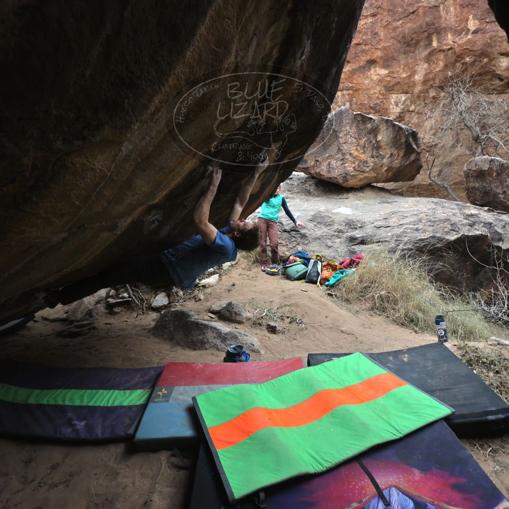 

Filename: SRM_20221228_1233420.jpg
Aperture: f/3.5
Shutter Speed: 1/320
Body: Canon EOS R6
Lens: Canon EF 16-35mm f/2.8 L