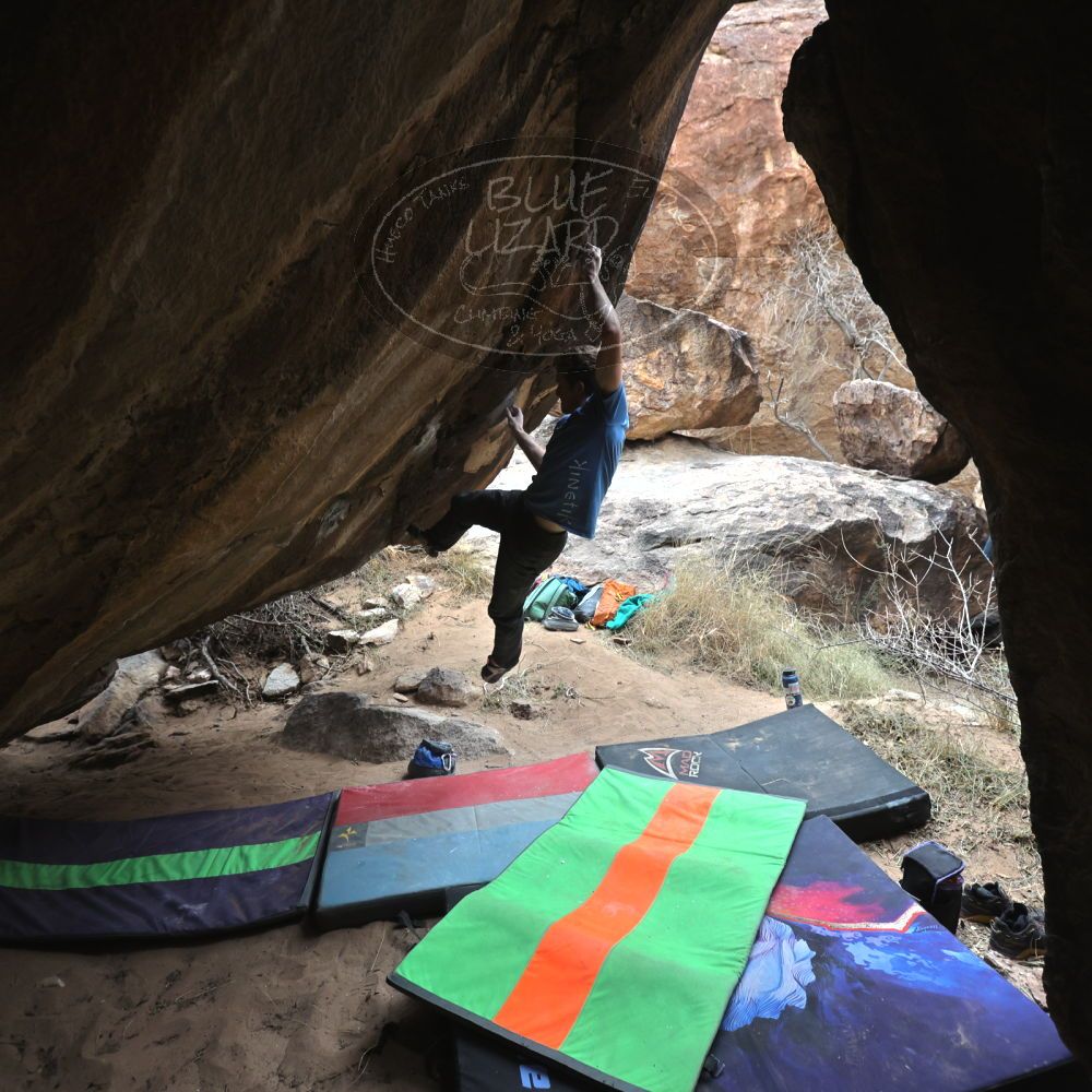 

Filename: SRM_20221228_1252200.jpg
Aperture: f/4.0
Shutter Speed: 1/320
Body: Canon EOS R6
Lens: Canon EF 16-35mm f/2.8 L