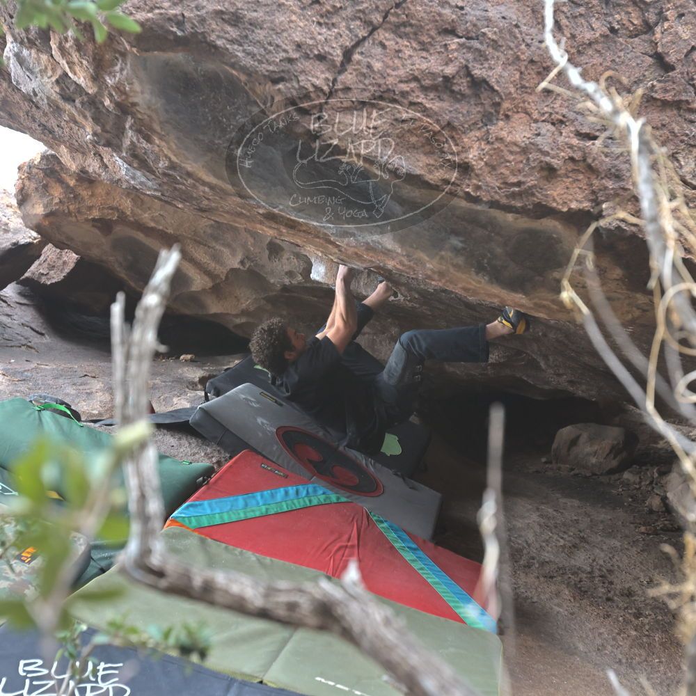 

Filename: SRM_20221228_1330400.jpg
Aperture: f/4.0
Shutter Speed: 1/320
Body: Canon EOS R6
Lens: Canon EF 16-35mm f/2.8 L