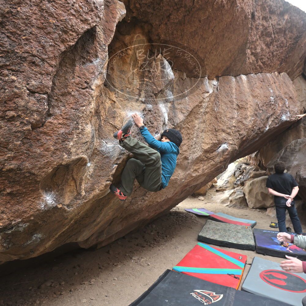 Filename: SRM_20221228_1507450.jpg
Aperture: f/4.0
Shutter Speed: 1/320
Body: Canon EOS R6
Lens: Canon EF 16-35mm f/2.8 L