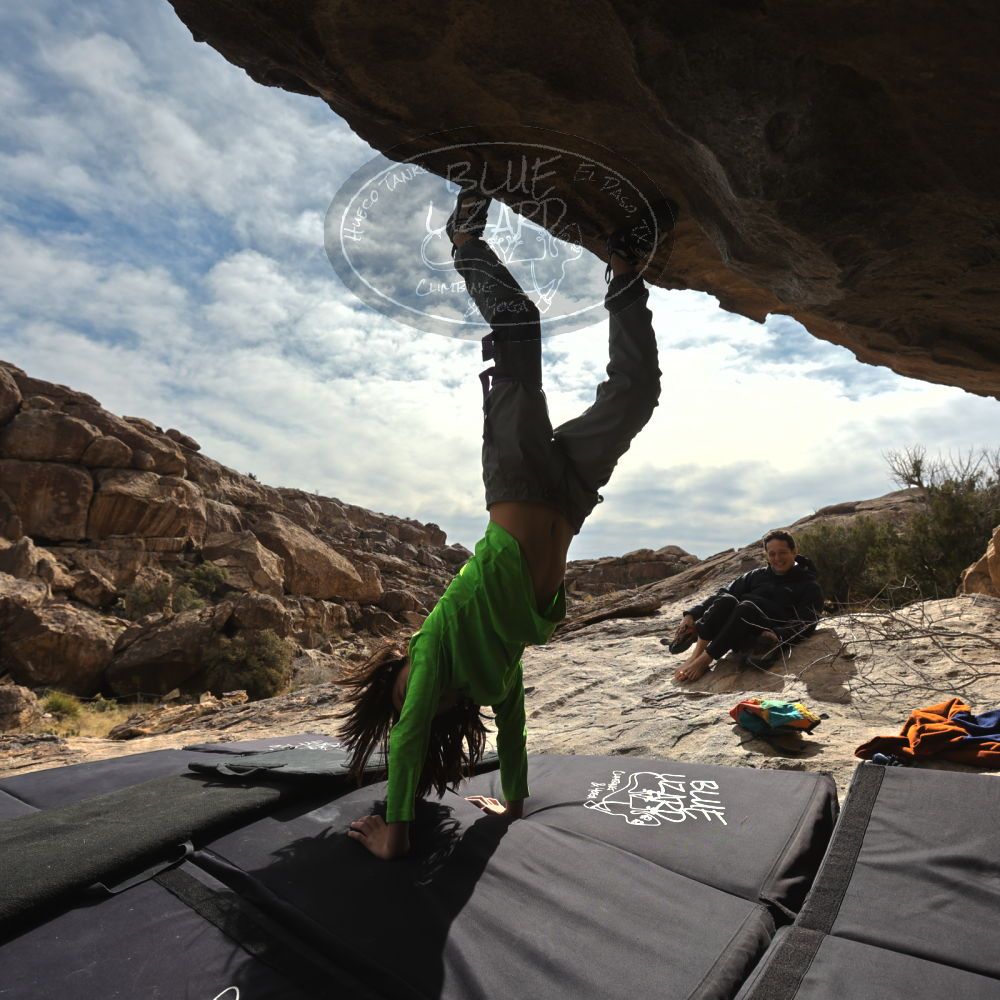 

Filename: SRM_20230101_1211320.jpg
Aperture: f/8.0
Shutter Speed: 1/500
Body: Canon EOS R6
Lens: Canon EF 16-35mm f/2.8 L