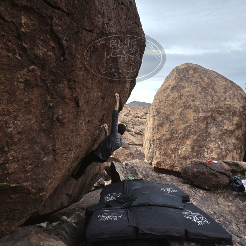 

Filename: SRM_20230101_1510510.jpg
Aperture: f/8.0
Shutter Speed: 1/500
Body: Canon EOS R6
Lens: Canon EF 16-35mm f/2.8 L