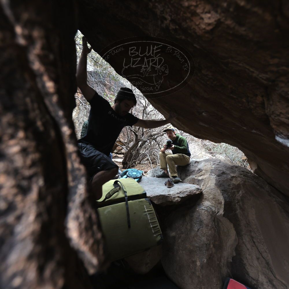 

Filename: SRM_20230107_1148583.jpg
Aperture: f/4.0
Shutter Speed: 1/640
Body: Canon EOS R6
Lens: Canon EF 16-35mm f/2.8 L