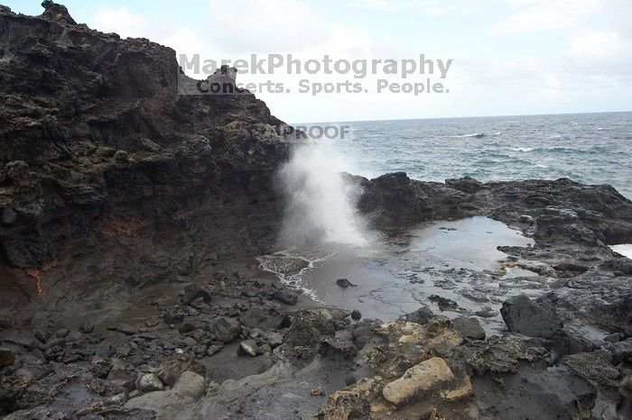 Hike to the Nakalele blowholes along the surf-beaten lava formations.

Filename: SRM_20071219_1342283.jpg
Aperture: f/10.0
Shutter Speed: 1/1250
Body: Canon EOS-1D Mark II
Lens: Sigma 15-30mm f/3.5-4.5 EX Aspherical DG DF
