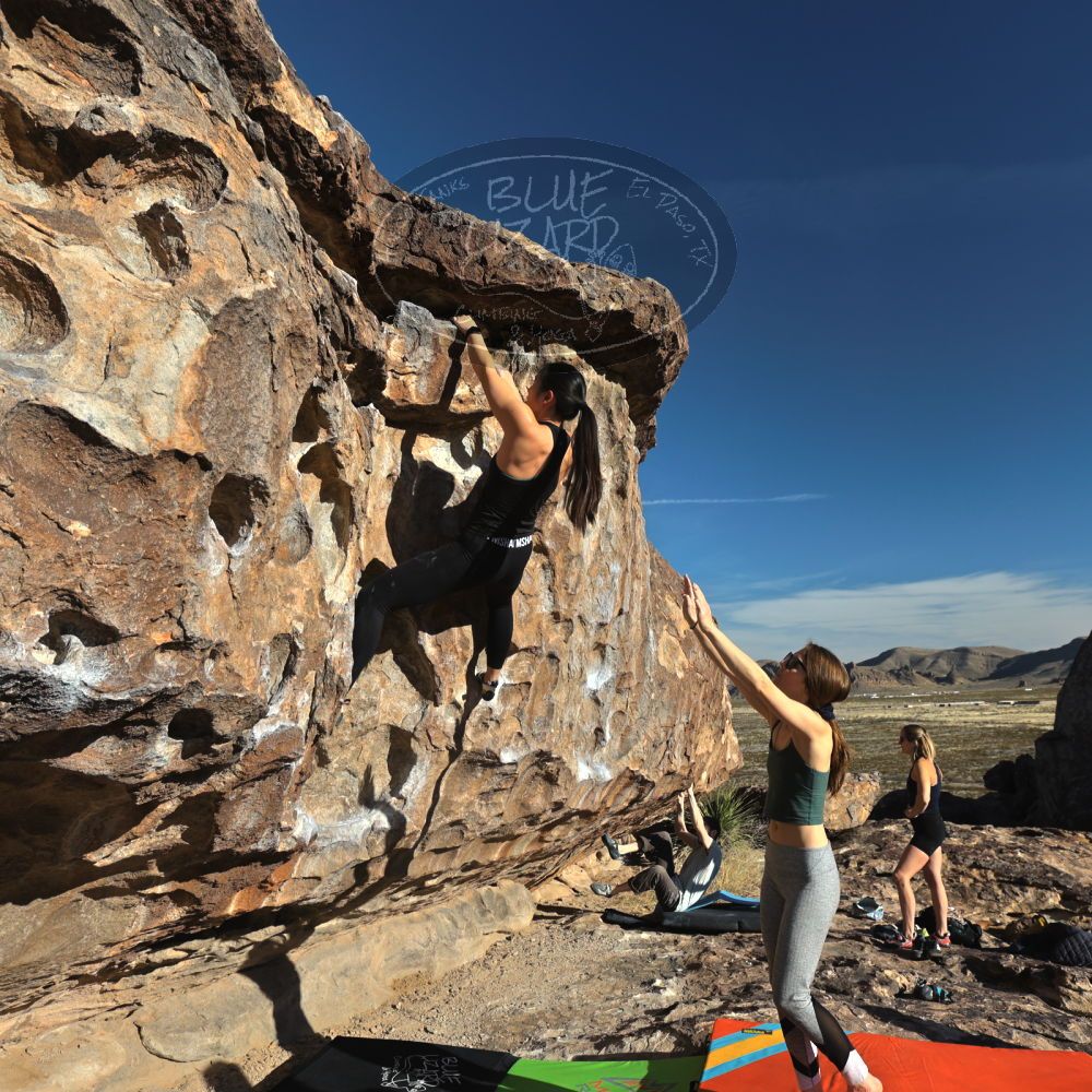 

Filename: SRM_20230114_0915060.jpg
Aperture: f/5.6
Shutter Speed: 1/640
Body: Canon EOS R6
Lens: Canon EF 16-35mm f/2.8 L