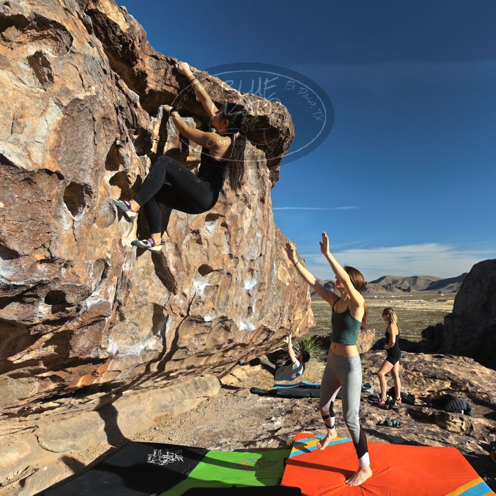 

Filename: SRM_20230114_0915160.jpg
Aperture: f/5.6
Shutter Speed: 1/640
Body: Canon EOS R6
Lens: Canon EF 16-35mm f/2.8 L