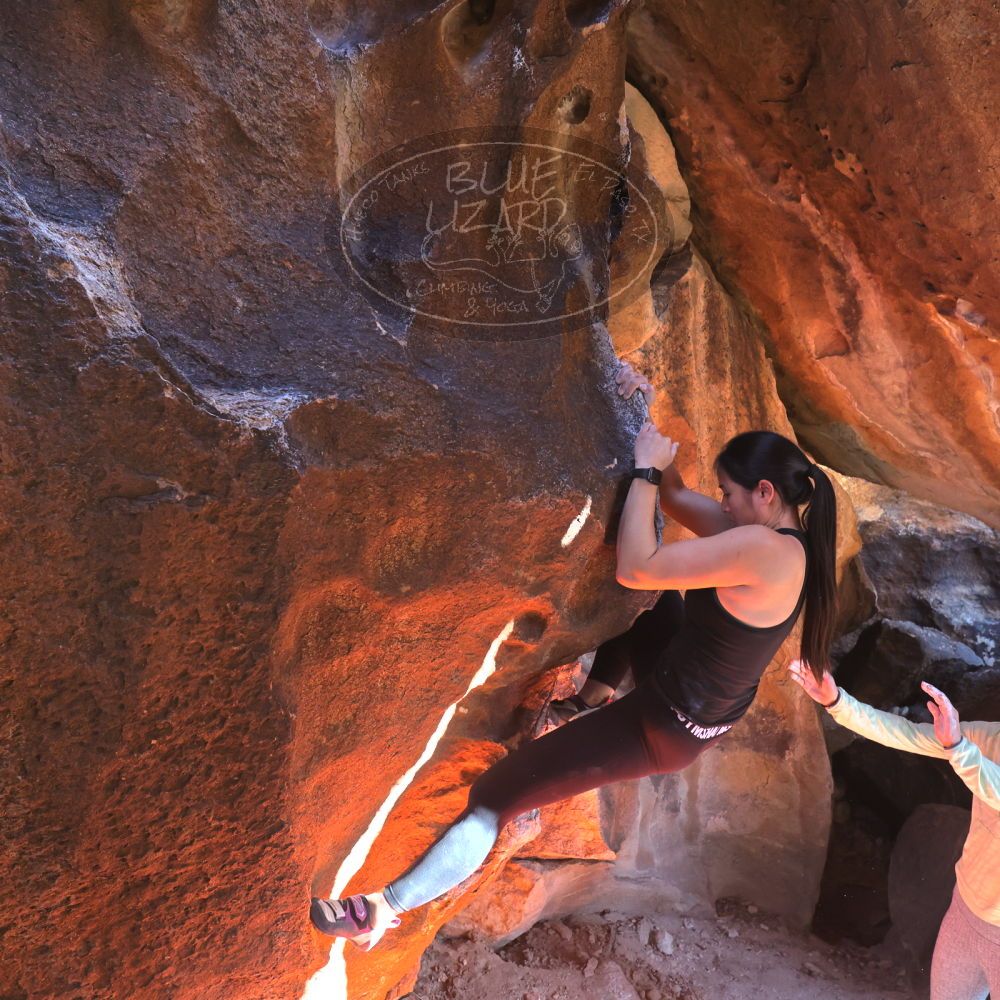 

Filename: SRM_20230114_1343030.jpg
Aperture: f/5.6
Shutter Speed: 1/320
Body: Canon EOS R6
Lens: Canon EF 16-35mm f/2.8 L