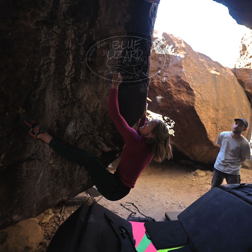 

Filename: SRM_20230114_1506510.jpg
Aperture: f/4.0
Shutter Speed: 1/250
Body: Canon EOS R6
Lens: Canon EF 16-35mm f/2.8 L