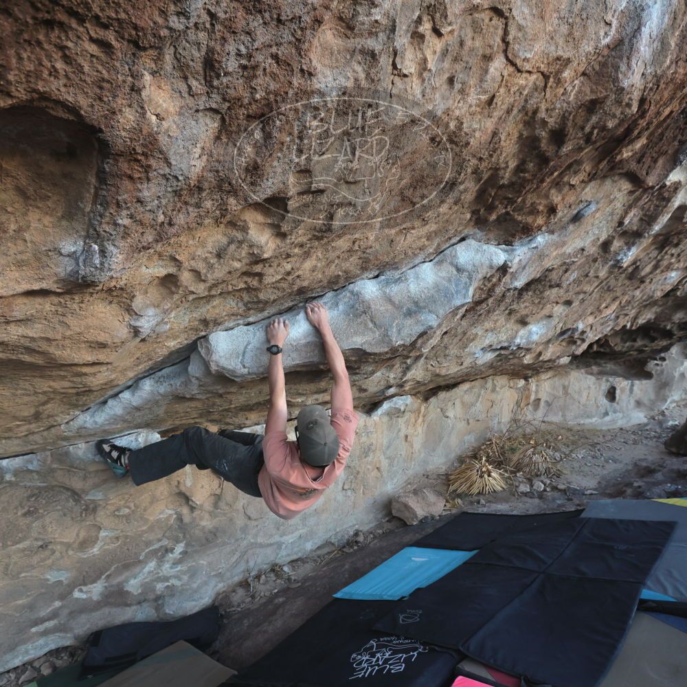 

Filename: SRM_20230114_1631060.jpg
Aperture: f/5.6
Shutter Speed: 1/1000
Body: Canon EOS R6
Lens: Canon EF 16-35mm f/2.8 L