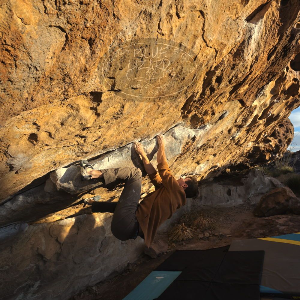 Filename: SRM_20230114_1639460.jpg
Aperture: f/5.6
Shutter Speed: 1/1000
Body: Canon EOS R6
Lens: Canon EF 16-35mm f/2.8 L