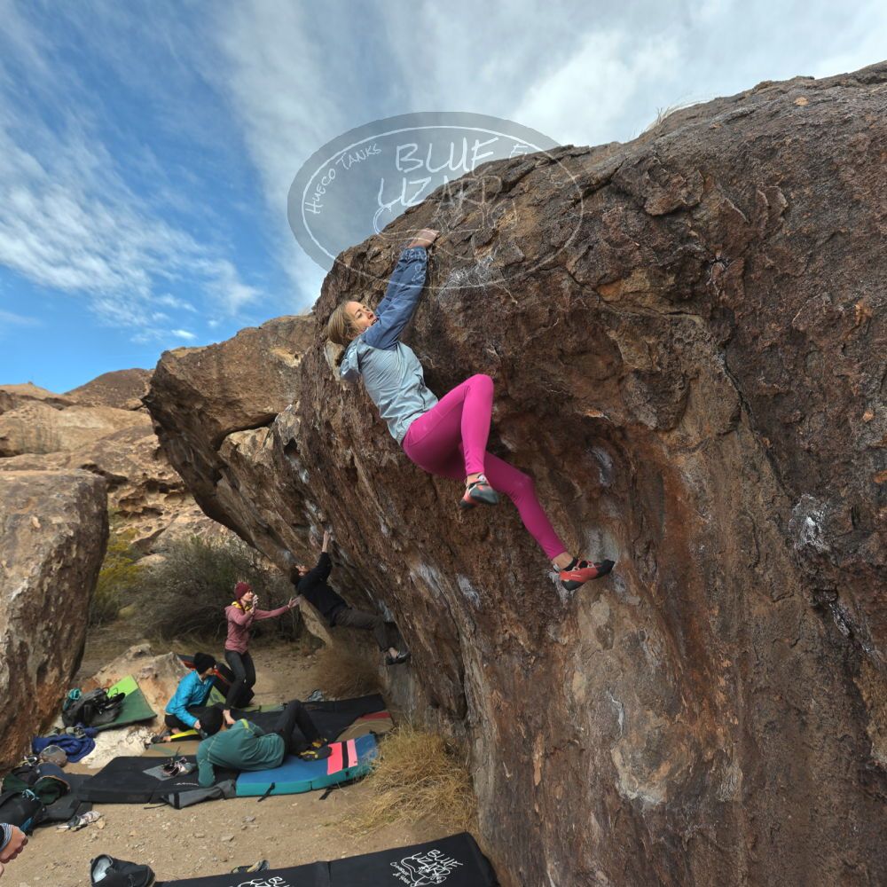 

Filename: SRM_20230115_1124370.jpg
Aperture: f/5.6
Shutter Speed: 1/400
Body: Canon EOS R6
Lens: Canon EF 16-35mm f/2.8 L