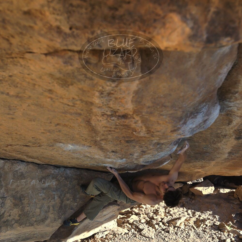 

Filename: SRM_20230122_1612050.jpg
Aperture: f/4.0
Shutter Speed: 1/320
Body: Canon EOS R6
Lens: Canon EF 16-35mm f/2.8 L