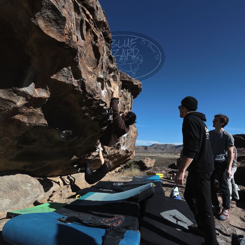 

Filename: SRM_20230128_0957440.jpg
Aperture: f/8.0
Shutter Speed: 1/800
Body: Canon EOS R6
Lens: Canon EF 16-35mm f/2.8 L