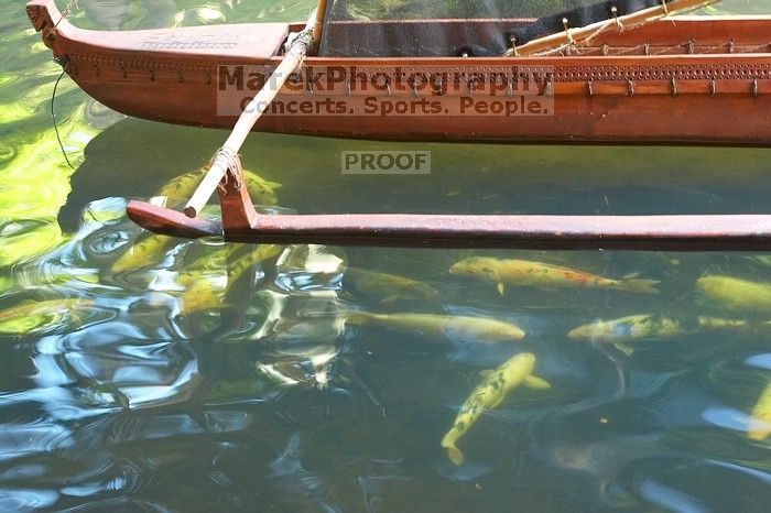 Trip to Maui, Hawai'i, 2007.

Filename: SRM_20071222_1211573.jpg
Aperture: f/4.0
Shutter Speed: 1/15
Body: Canon EOS 20D
Lens: Canon EF 50mm f/1.8 II