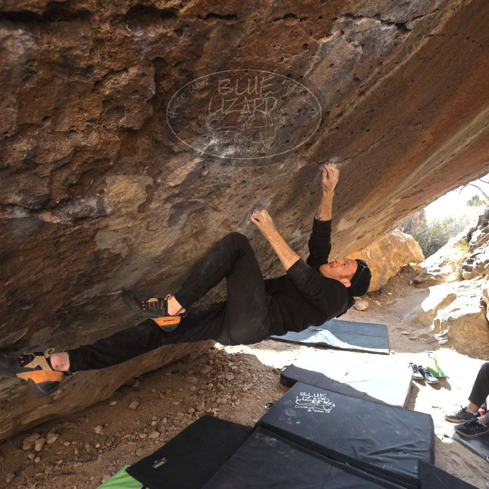 

Filename: SRM_20230129_1213350.jpg
Aperture: f/5.6
Shutter Speed: 1/640
Body: Canon EOS R6
Lens: Canon EF 16-35mm f/2.8 L
