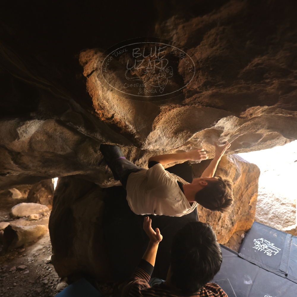 

Filename: SRM_20230129_1406540.jpg
Aperture: f/4.0
Shutter Speed: 1/250
Body: Canon EOS R6
Lens: Canon EF 16-35mm f/2.8 L