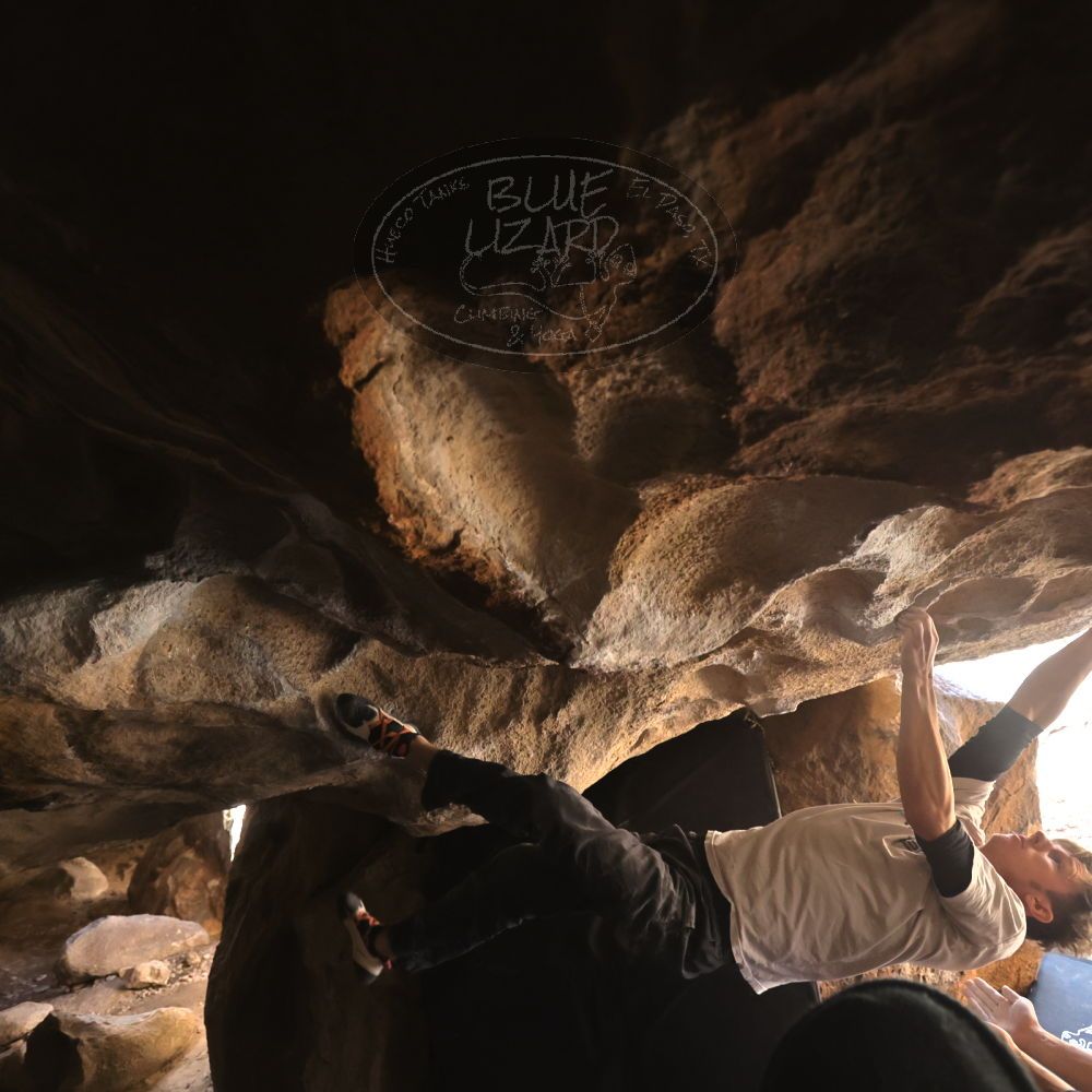 

Filename: SRM_20230129_1411160.jpg
Aperture: f/4.0
Shutter Speed: 1/250
Body: Canon EOS R6
Lens: Canon EF 16-35mm f/2.8 L
