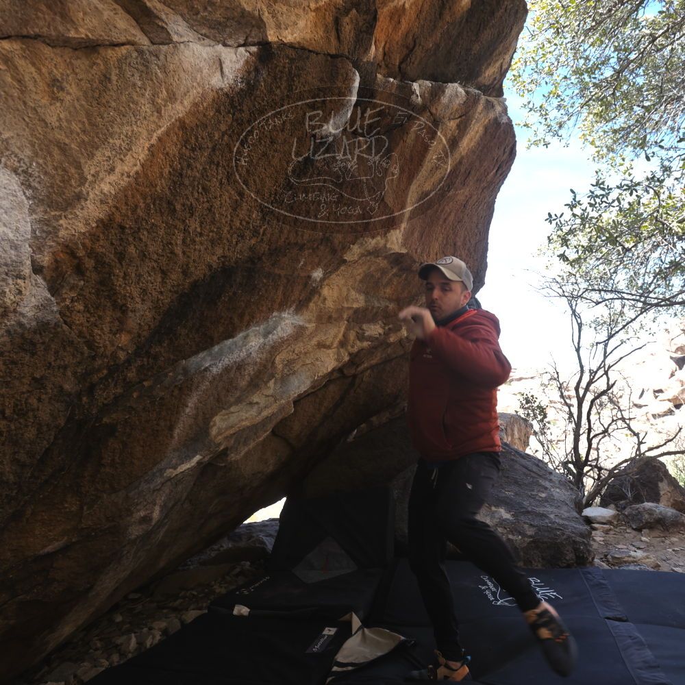 

Filename: SRM_20230217_1301432.jpg
Aperture: f/5.6
Shutter Speed: 1/320
Body: Canon EOS R6
Lens: Canon EF 16-35mm f/2.8 L