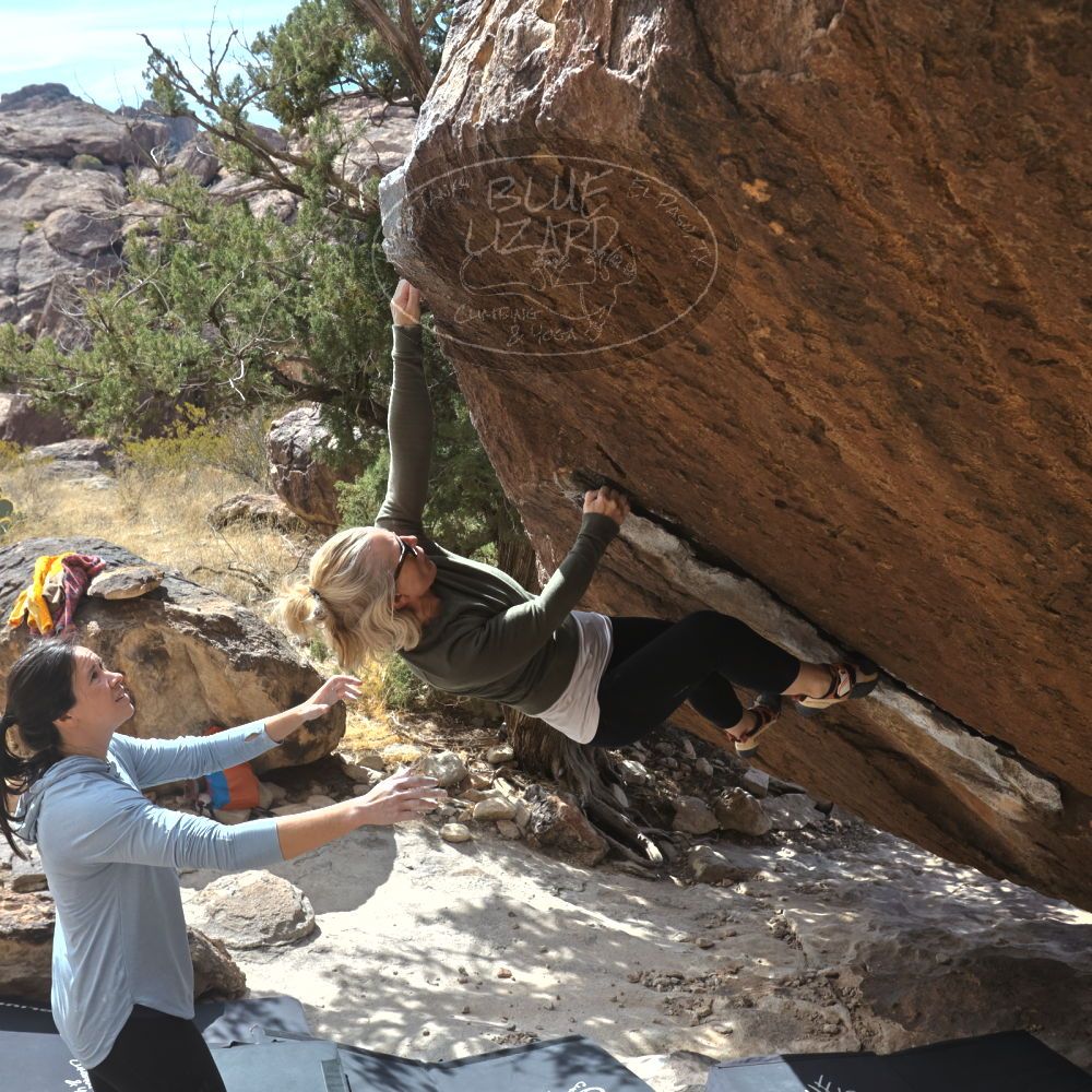 

Filename: SRM_20230218_1343460.jpg
Aperture: f/8.0
Shutter Speed: 1/500
Body: Canon EOS R6
Lens: Canon EF 16-35mm f/2.8 L