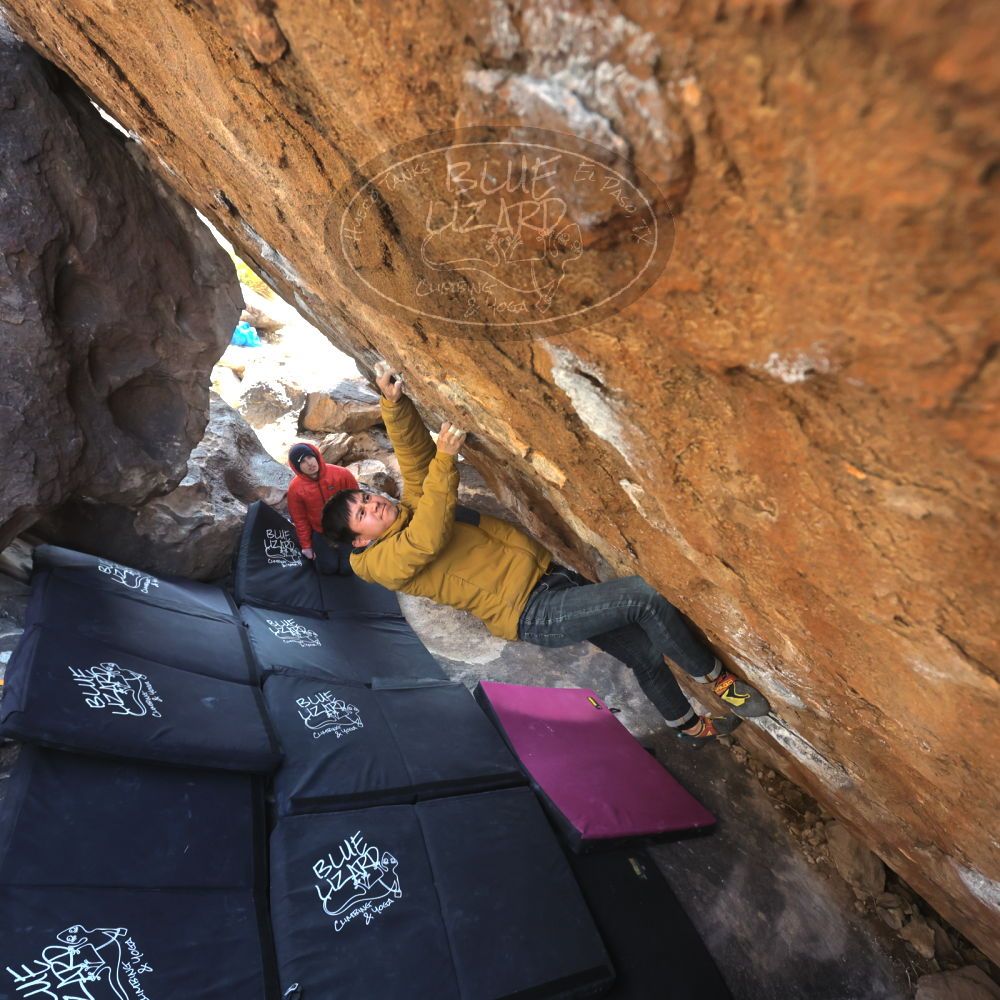

Filename: SRM_20230222_1417421.jpg
Aperture: f/5.6
Shutter Speed: 1/320
Body: Canon EOS R6
Lens: Canon EF 16-35mm f/2.8 L
