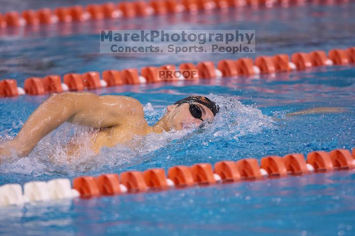 UT sophomore Ricky Berens took first  in the 500 yard freestyle with a time of 4:27.92.  The University of Texas Longhorns defeated The University of Georgia Bulldogs 157-135 on Saturday, January 12, 2008.

Filename: SRM_20080112_1206128.jpg
Aperture: f/2.8
Shutter Speed: 1/400
Body: Canon EOS-1D Mark II
Lens: Canon EF 300mm f/2.8 L IS