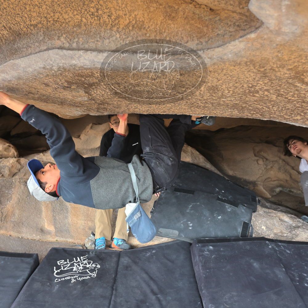 

Filename: SRM_20230224_1240070.jpg
Aperture: f/4.0
Shutter Speed: 1/400
Body: Canon EOS R6
Lens: Canon EF 16-35mm f/2.8 L