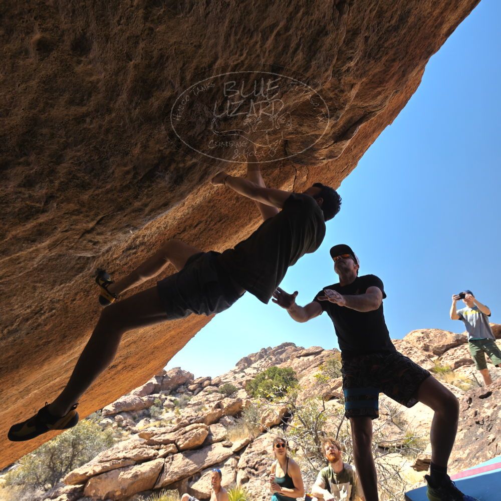 

Filename: SRM_20230310_1234220.jpg
Aperture: f/5.6
Shutter Speed: 1/400
Body: Canon EOS R6
Lens: Canon EF 16-35mm f/2.8 L