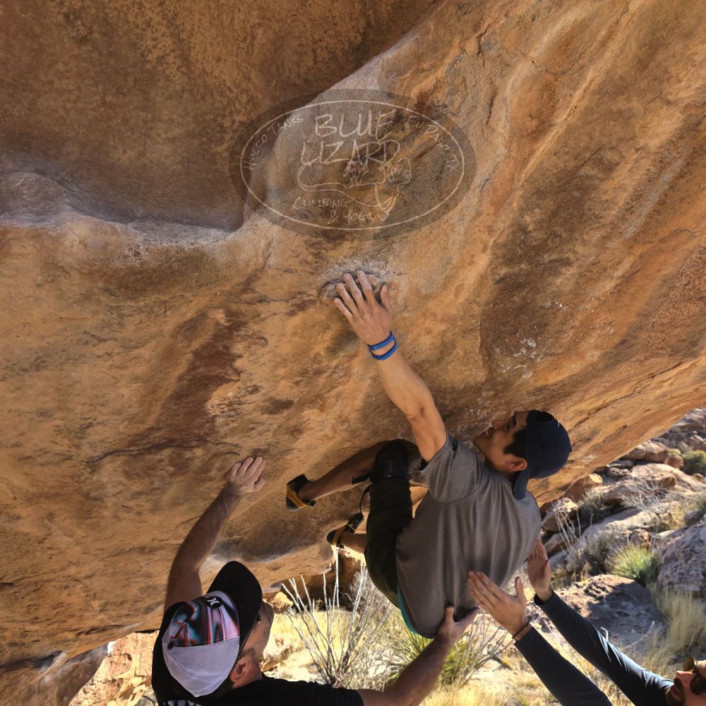 

Filename: SRM_20230310_1533100.jpg
Aperture: f/5.6
Shutter Speed: 1/400
Body: Canon EOS R6
Lens: Canon EF 16-35mm f/2.8 L