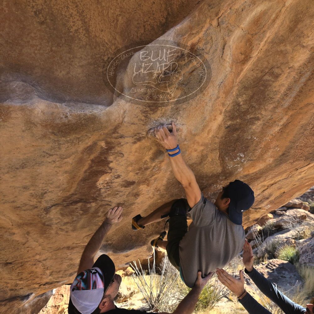 

Filename: SRM_20230310_1533110.jpg
Aperture: f/5.6
Shutter Speed: 1/400
Body: Canon EOS R6
Lens: Canon EF 16-35mm f/2.8 L