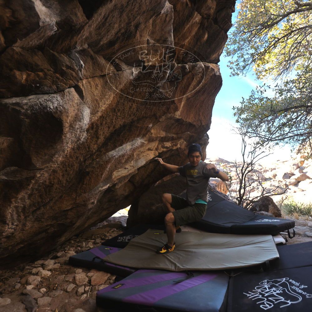 

Filename: SRM_20230310_1633440.jpg
Aperture: f/4.0
Shutter Speed: 1/400
Body: Canon EOS R6
Lens: Canon EF 16-35mm f/2.8 L