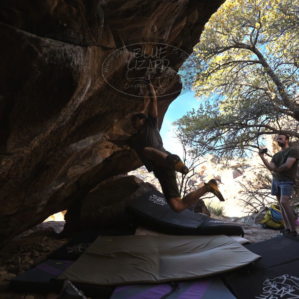 

Filename: SRM_20230310_1638250.jpg
Aperture: f/4.0
Shutter Speed: 1/400
Body: Canon EOS R6
Lens: Canon EF 16-35mm f/2.8 L