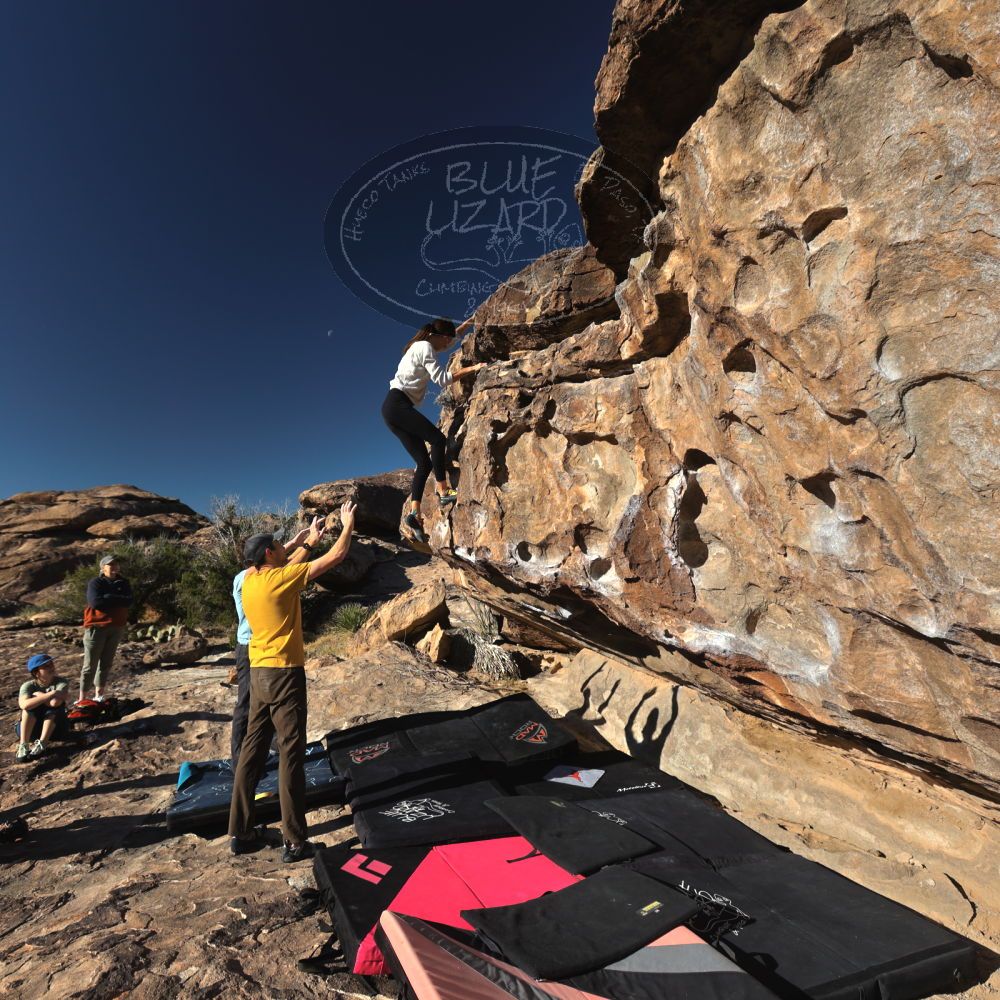 

Filename: SRM_20230314_0812230.jpg
Aperture: f/5.6
Shutter Speed: 1/500
Body: Canon EOS R6
Lens: Canon EF 16-35mm f/2.8 L