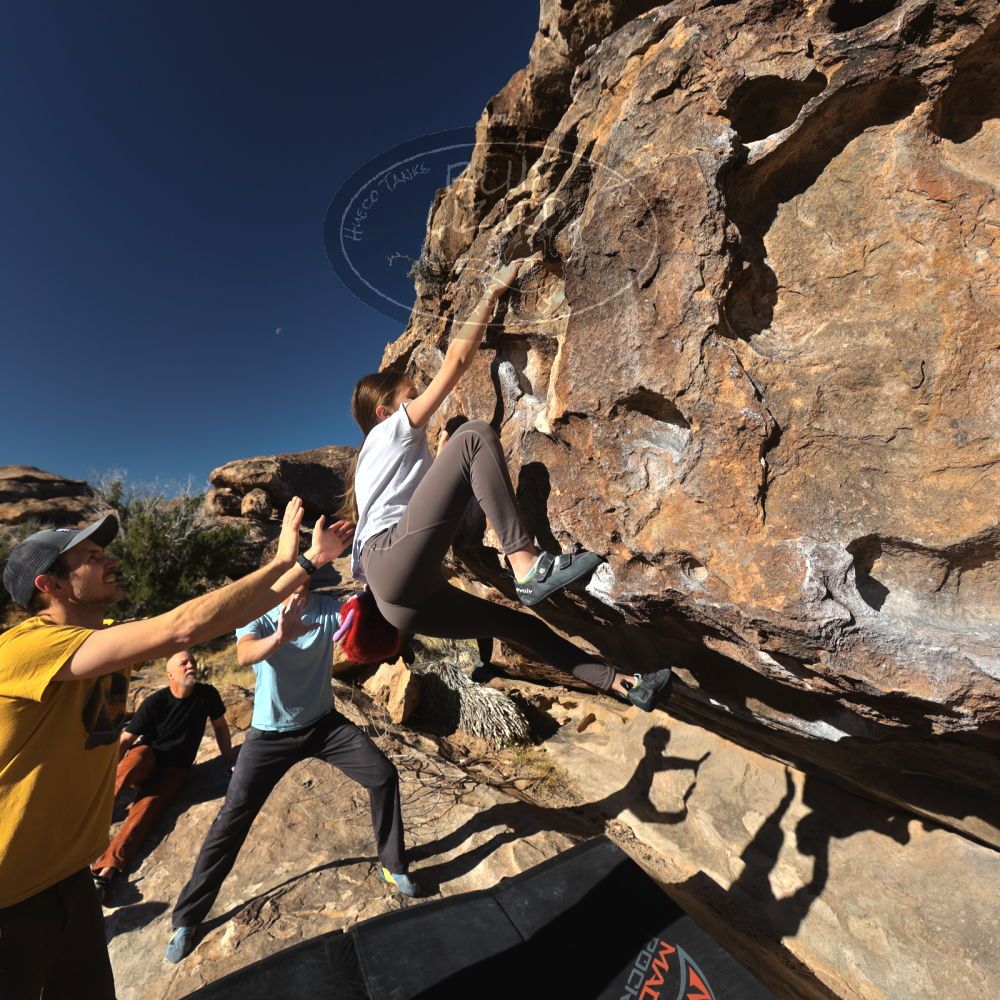 

Filename: SRM_20230314_0823290.jpg
Aperture: f/5.6
Shutter Speed: 1/500
Body: Canon EOS R6
Lens: Canon EF 16-35mm f/2.8 L